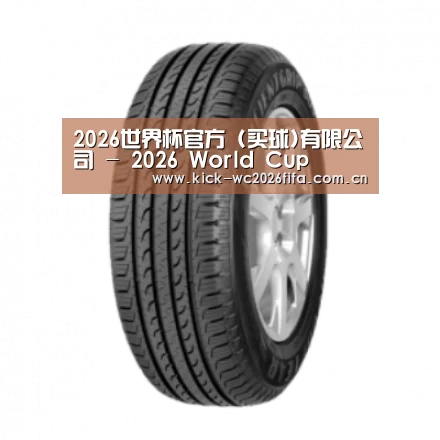 2026世界杯买球官网产品名称五